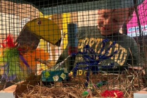 1 bf1f3cc1a82446b6a25c566bb90a16bc