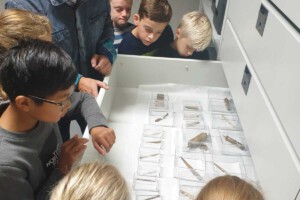 3 5d13573451ac4a59b0e28ec999f01bee