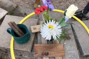 23 84bd466856834e428b2caa8954a52d78