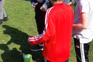 26 31beaa82434a403ca1758d6820bc83fd