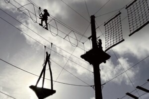 IMG 0398