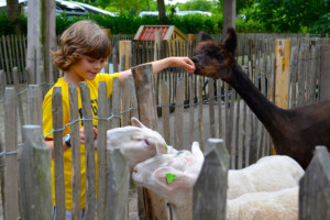 Outdoor BSO kinderboerderij 3