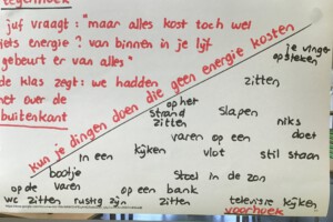 119183045 3200348203418388 1346470153852003629 o