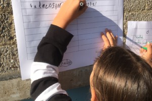 1 32bee3cde0d949f8856fa51d9289dbd6