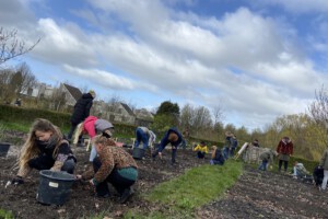 1 41294acccb4241fdb8df0d3874d686c8