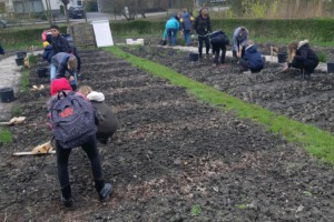 16 65d082e853cd4ffabd6bc10576254fbd