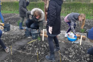 26 4a1bf81f64b54a81a4cb784d38797f85